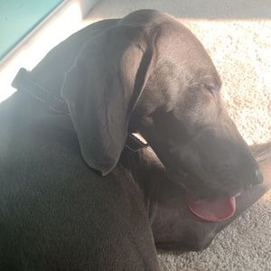 Meet your Posher, Katy